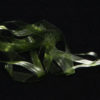 Scud Back - light olive