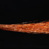 Flashabou - copper
