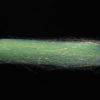 H2O Steve Farrar's SF Flash Blend - aquamarine