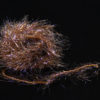 UV Polar Chenille - uv brown