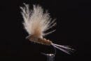 CDC Dun brown-0