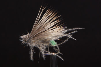Chartreuse Ass Caddis-0