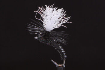 Klinkys black-0