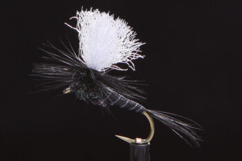Parachute black-0