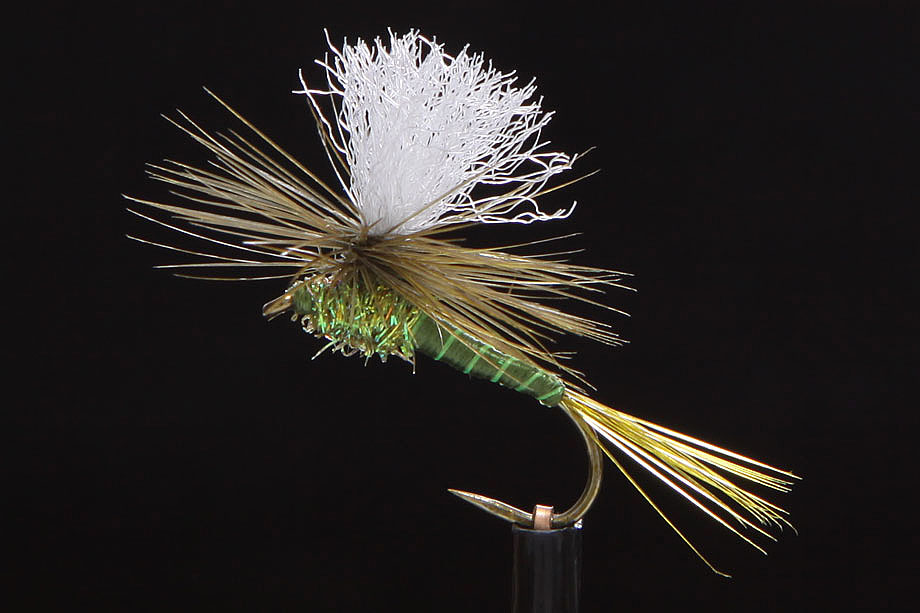 Parachute olive