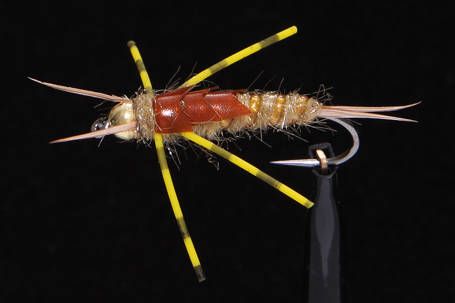 Stonefly gold-1435