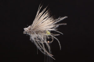 Yellow Ass Caddis-0