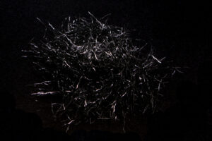 Creepy Crawley Ice Dub black