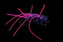 Wuschelbuschel purple-0