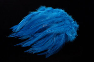 Strung Chinese Saddle Hackle 5-7"-3225