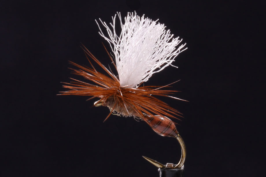 UV Parachute Ant-0