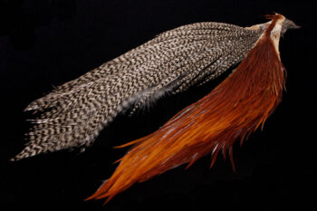 Hareline Half Cape