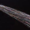 Polarflash - black rainbow