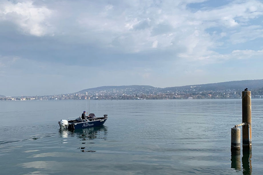 zuerisee_guiding_vorne Zürichsee Guiding