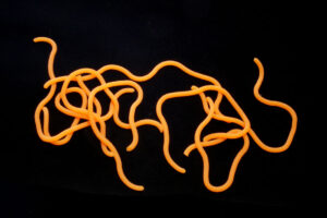 Hends Squirmy Worms fluo orange