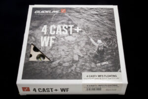 Guideline 4 Cast+