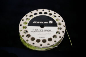Guideline 4 Cast+
