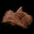Swiss CDC Argentinian Hare - dark brown