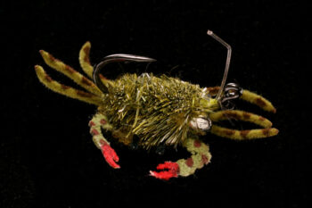 Danger Muffin Crab sandy olive